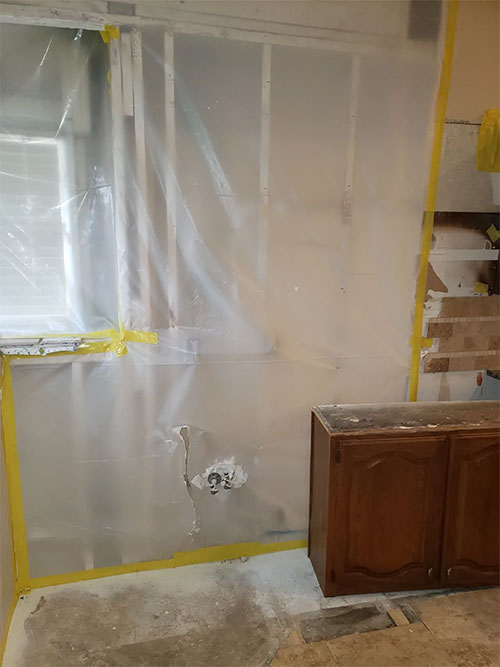 Steps To Take After Mold Remediation